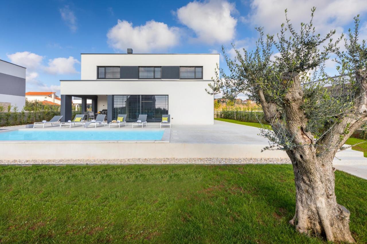 Amazing Private Villa With Outdoor Swimming Pool In Vodnjan Exteriör bild